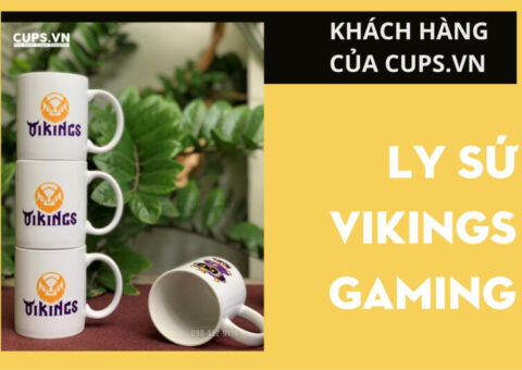 Vikings Gaming và lựa chọn Ly Sứ Thái cho thương hiệu